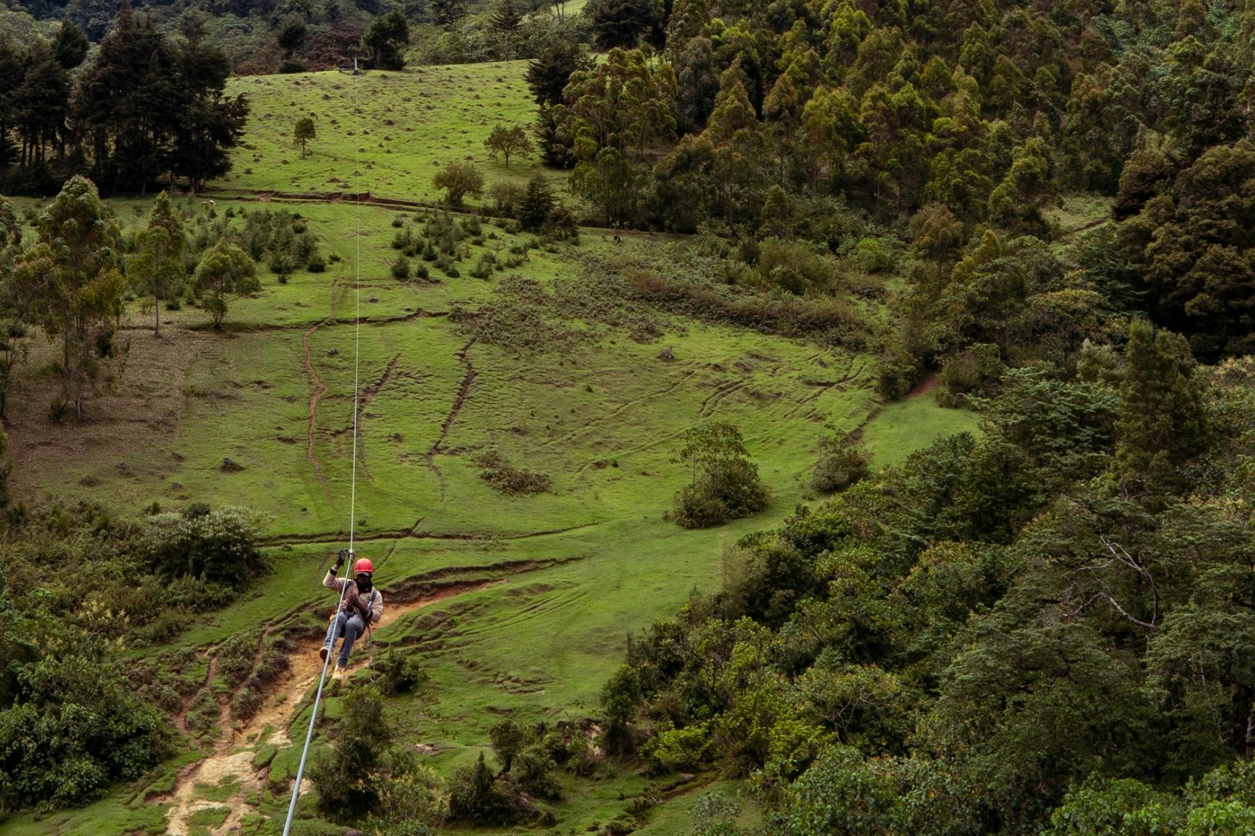 Zipline